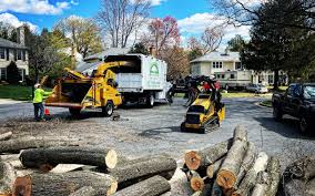 Best Tree Trimming and Pruning  in Laflin, PA